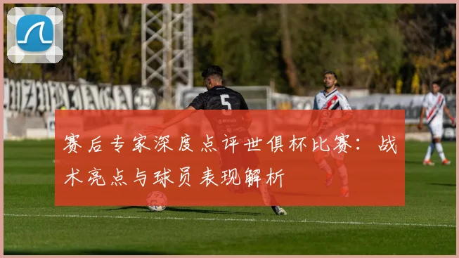 赛后专家深度点评世俱杯比赛：战术亮点与球员表现解析