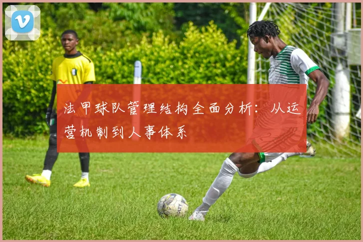法甲球队管理结构全面分析：从运营机制到人事体系