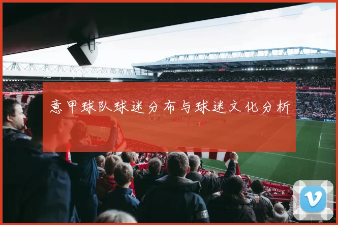 意甲球队球迷分布与球迷文化分析