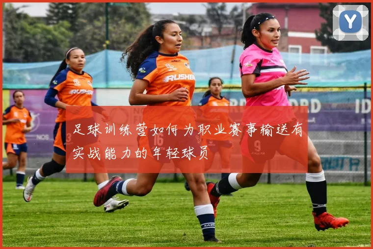 足球训练营如何为职业赛事输送有实战能力的年轻球员