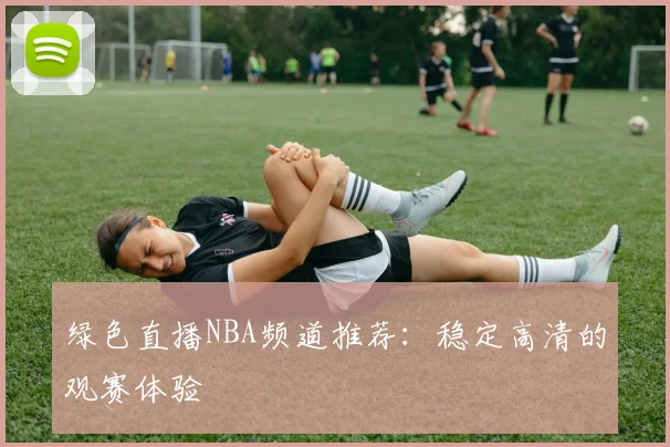 绿色直播NBA频道推荐：稳定高清的观赛体验