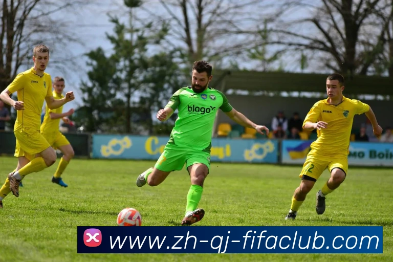 世界杯买球平台生态图